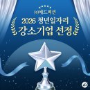 애드픽션