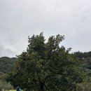 새재이동커피 네이버블로그