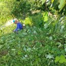 밤산농원 이미지