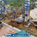 미소스포츠