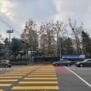 덕릉로(남측) 네이버블로그