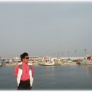 그녀의 바다 이미지