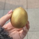 스시하쿠 | 2월 일상 모음 : 빵빵이틀린그림찾기카드, 스시하쿠 초밥, 산적 만들기