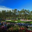 오거스타 이미지