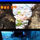 버스 노래방 - 얼굴 없는 가수 시리즈 (마지막) 이미지