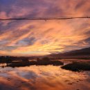 갈채무도장 이미지