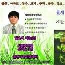 일신주유소 이미지