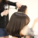 칼리아헤어 - 중구 | 칼리아헤어