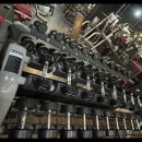 스타짐피트니스 이미지