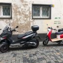 세준농장 이미지