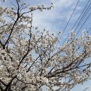 공설운동장 이미지