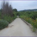 교학초등학교 이미지