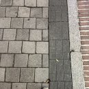 (주)한국스포터 이미지