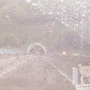 더 설렘 온수 수영장펜션 이미지