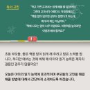 메타인지