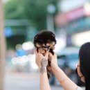 향기펫샵 이미지