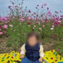 코스모스 어린이집 이미지