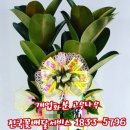 의료법인 한결의료재단 이미지