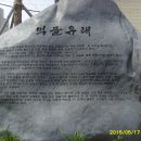 청솔환경주 Daum카페
