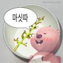 조아농장 | 과일조아-포도편 [케빈 포도농장] 씨X 솔직후기