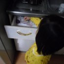 유림할머니보쌈 네이버블로그
