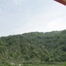 장미 민박 이미지