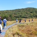 용늪마을 이미지