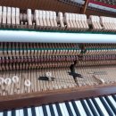 드뷔시음악학원 이미지