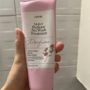 댕기머리 | [내돈내산] 좋은 향기와 머릿결! 댕기머리 멜로우 퍼퓸 노워시 트리트먼트 사용 후기