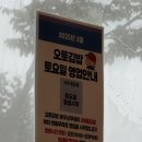 오토오아시스연일공단점 | 광주야구장 맛집 - 상무지구맛집 오토김밥 후기 / 전참시 이영자 맛집 &amp; 우영우 김밥