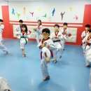 반송월드태권도 이미지