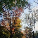 한숲사거리(중심상가쪽) 이미지