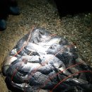 해솔바다낚시터 이미지