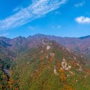 유림-1108 | 원시림 속 거친 바윗길 올라 기암괴석 전시장으로… 가을엔 가야산에 가야 해 경북 성주·경남 합천