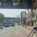 동구청 횡단보도 앞 이미지