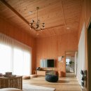 이디오랜 이미지