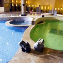 가산랜드주식회사 이미지