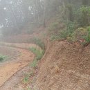 윗자모리 | 추석벙개 1탄 식장산 자모숲길 한바퀴 후기