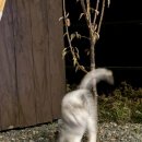 STAY HARUM 이미지