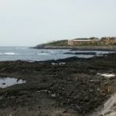 제주 올레길 5코스 이미지