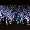 가락시장역 7번출구 이미지