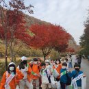 기림초등학교 이미지