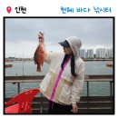천혜바다낚시터 | [인천 영종도] 천혜 바다 낚시터｜인생 첫 바다낚시 후기, 시설정보, 가격, 준비물 (내돈내산)