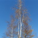 수산리-3 이미지