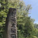 한국효모(주) 이미지