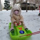 리틀대통령어린이집 이미지