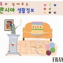 야채의 달인 Daum카페