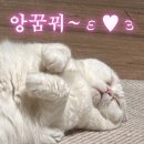 장감로77번길 | 선지해장국 정말좋아요♥️