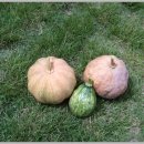 숲속나라어린이집 이미지