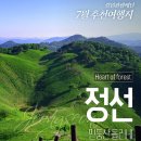 10/24(토) 조선 제일 억새 물결.. [민둥산 억새축제+삼내약수] 당일 이미지